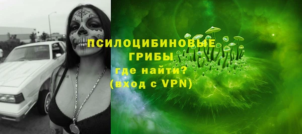 тгк Алзамай