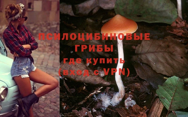 тгк Алзамай