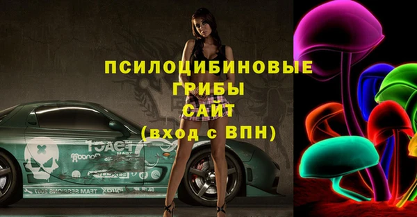 амф Приозерск