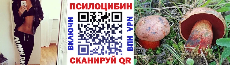 Псилоцибиновые грибы Magic Shrooms  Камень-на-Оби 