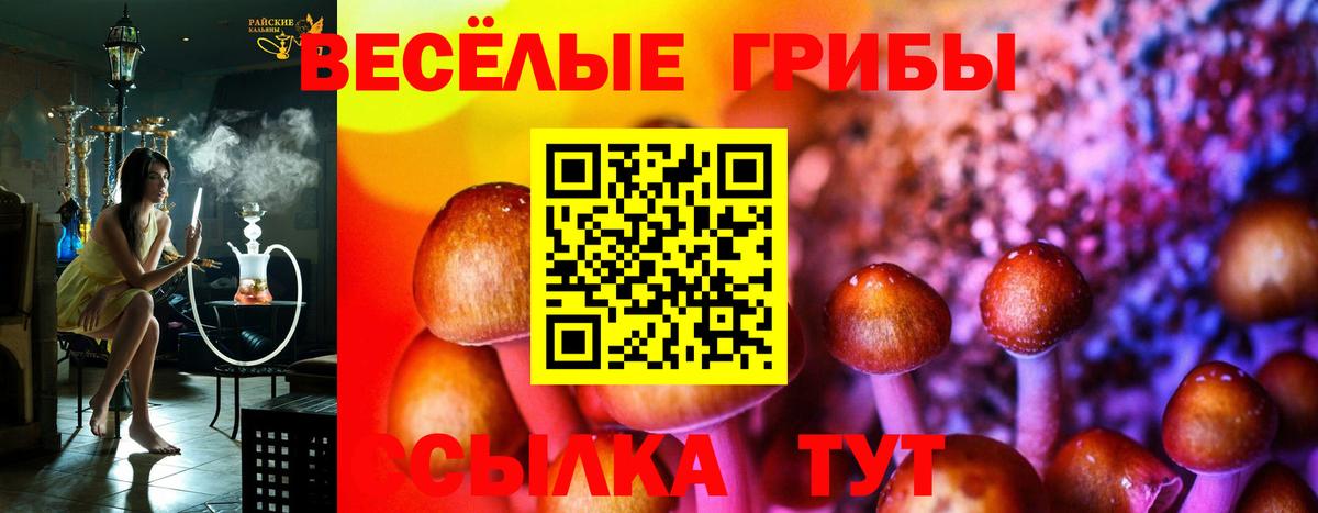 Псилоцибиновые грибы Magic Shrooms Камень-на-Оби